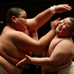Japan-Kyoto-Excursies-Sumo-toernooi5