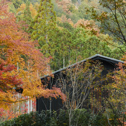 Japan-Kyoto-Hotels-Aman-Kyoto-bomen