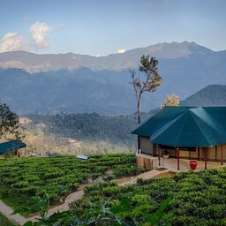 Kandy-Madukelle-Tea-and-eco-lodge-domein