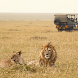 Kenia-algemeen-game drive 1