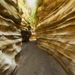 Kenia-Hells Gate National Park-kloof 2