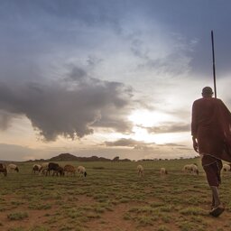 Kenia-Hoogtepunt2-Masai Krijger