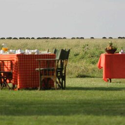 Kenia-Masai Mara-Elephant Pepper Camp-ontbijt op het camp