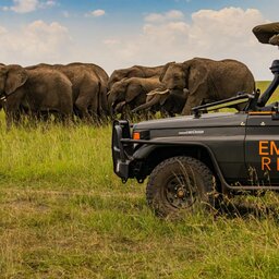 Kenia-Masai Mara-Emboo River Camp-safari olifanten-min