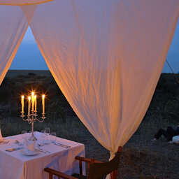 Kenia-Masai Mara-Main Naibor Camp-bush diner