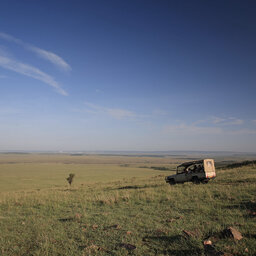 Kenia-Masai Mara-Main Naibor Camp-game drive