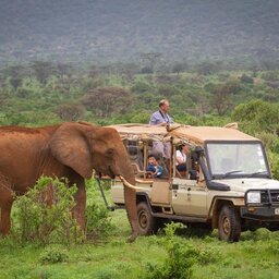 Kenia-Samburu Game Reserve-Elephant Bedroom Camp-game drive