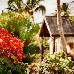 La-Reunion-westkust-iloha-seaview-hotel-bungalows