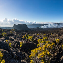 La-Reunion-zuidkust-wandeling-piton-de-la-fournaise-CREDIT-IRT- frog974 2