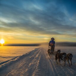 Lapland - Husky - Safari - Sneeuw (11)