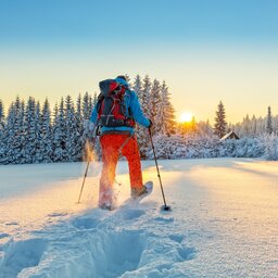 Lapland - Sneeuwschoenen - Wandelen (8)