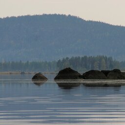 Lapland-Zweden-Harads-Arctic-Bath-Hotel-natuur