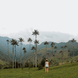 Latijns-Amerika-Colombia-Armenia-Excursies-Valle-De-Cocora-2