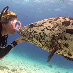 Lizard Island - Great Barrier Reef - Anchor Bay - Australië (17)