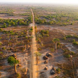 Madagaskar-algemeen-shutterstock_2395880509