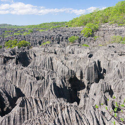 Madagaskar-ankarana-massief-shutterstock_98766425