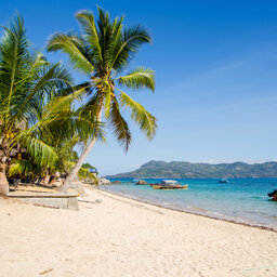 Madagaskar-nody-komba-shutterstock_233850808