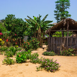 Madagaskar-nosy-komba-shutterstock_792759667