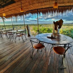 Madagaskar-Tuléar-bakuba-lodge-3