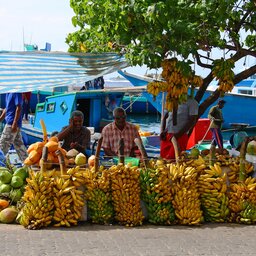 Malediven-Malé-markt bananen