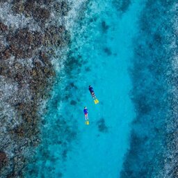 Malediven-South-Ari-Atoll-Lily-Beach-snorkelen
