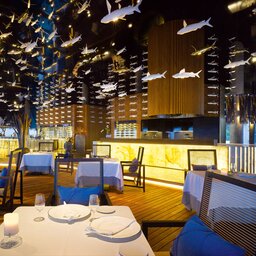 Malediven-Velaa-Private-Island-Aragu-restaurant-Cru-lounge-1