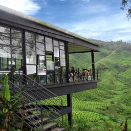 Maleisië-Cameron-Highlands-Excursie-BOH-Tea-café-met-uitzicht