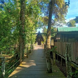 Maleisië-Kinabatangan-River-Sukau-Rainforest-Lodge-wandelpad-1