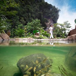 Maleisië-Perak-The-Banjaran-Hotsprings-Retreat-doctor-fish-pool