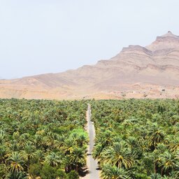 Marokko-Agdz en de Draa vallei-Algemeen-1 (1)