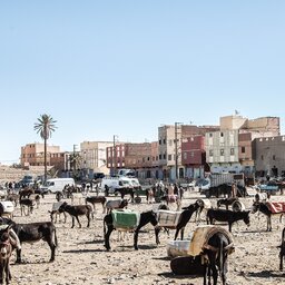 Marokko-Ouarzazate en omgeving-Algemeen-3