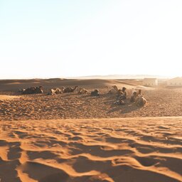 Marokko-Zagora en de woestijn van Erg Chigaga-1