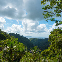 Martinique-Botanische tuinen Balata