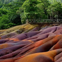 Mauritius-algemeen-Black River Gorges National Park (1)