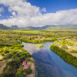 Mauritius-algemeen-Black River Gorges National Park (2)