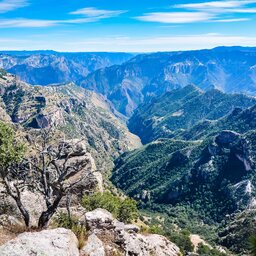 Mexico - Copper Canyon - Sierra Madre Occidental - Chihuahua