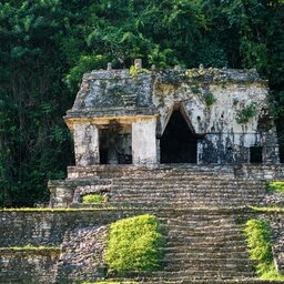 Mexico - Palenque - Chiapas (5)