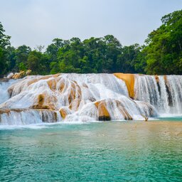 Mexico - Palenque - Chiapas (8)