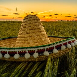 Mexico - Sombrero