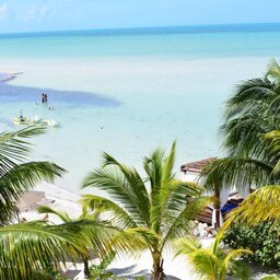Mexico-Yucatan-Isla-Holbox-Hotels-Las-Nubes-de-Holbox-palboom-zeezicht