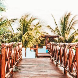 Mexico-Yucatan-Isla-Holbox-Hotels-Las-Nubes-de-Holbox-palmbomen