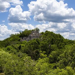 Mexico-Yucutan-Calakmul-Bezienswaardigheden-Ruïnes-van-Calakmul-2