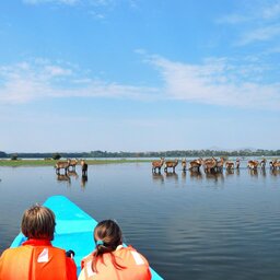 mini_Kenia-Lake Naivasha-boottocht