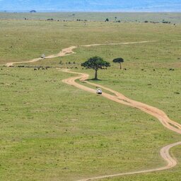 mini_Kenia-Masai Mara-weg vanuit de lucht