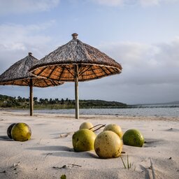 Mozambique-kokos en stranden