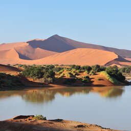 Namibië-algemeen-woestijn