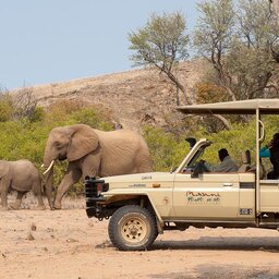 Namibië-camp kipwe (10)