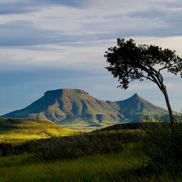 Namibië-Damaraland-algemeen-groen-landschap