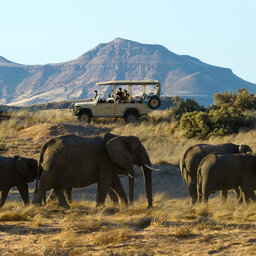 Namibië-Damaraland-algemeen-jeep-olifanten