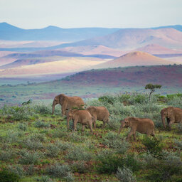 Namibië-Damaraland-hoogtepunt (4)